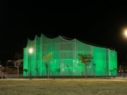 La Legislatura se sumó al Día Mundial del Síndrome de Phelan Mc Dermid.