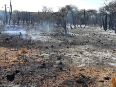 Incendio en Chuña Huasi: El foco fue contenido.