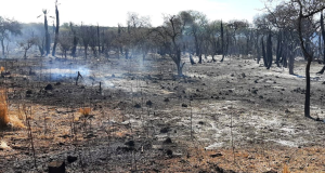 Incendio en Chuña Huasi: El foco fue contenido.