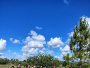 Operadores mayoristas de Colombia recorrieron Córdoba en un Fam Tour internacional.