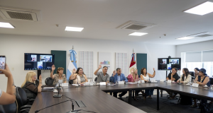 Despacho favorable para crear una campaña de prevención de partos prematuros.