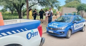 Las Arrias: un hombre falleció tras ser atacado por un enjambre de abejas.