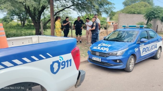Las Arrias: un hombre falleció tras ser atacado por un enjambre de abejas.