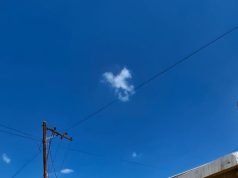 Cayó sorpresivamente un poste de madera en el ingreso de una despensa de Barrio Belgrano.