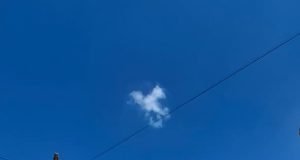 Cayó sorpresivamente un poste de madera en el ingreso de una despensa de Barrio Belgrano.