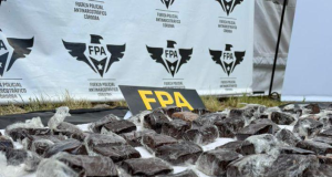 FPA INCAUTÓ MÁS DE SEIS KILOS DE BROWNIES DE MARIHUANA EN INMEDIACIONES AL COSQUÍN ROCK. DOS DETENIDOS