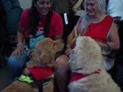 Se amplía el Fondo de Inclusión Social para Personas con Discapacidad con inversión de$4500 millones