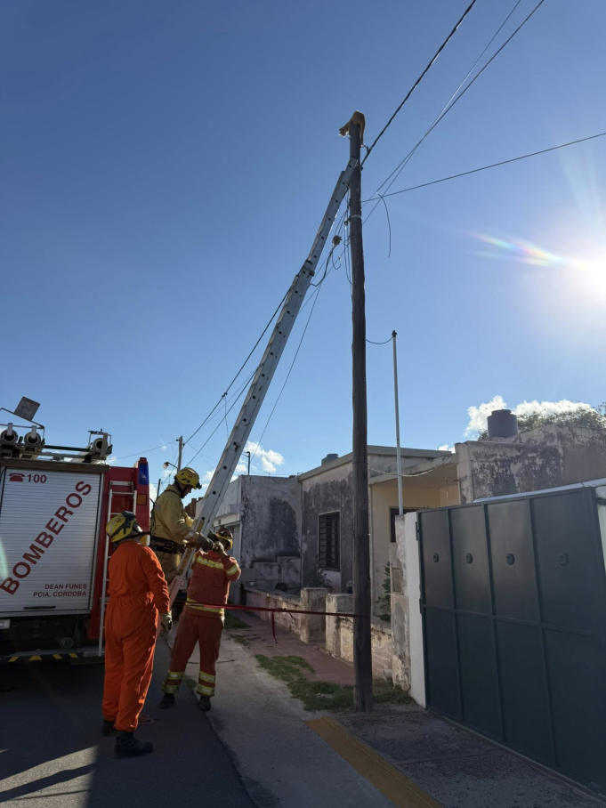 Deán Funes: Bomberos rescataron a un gatito de un alto poste en B° Belgrano.